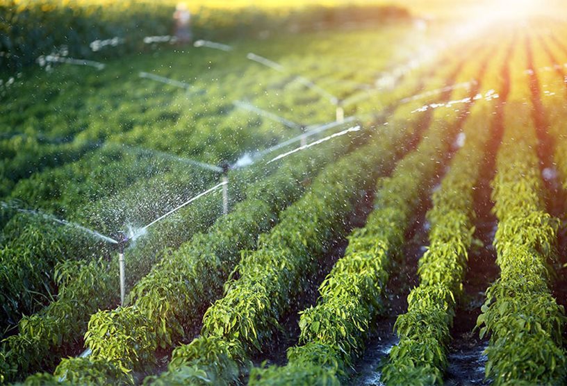 A stock image of a water irrigation system.