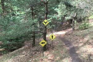LEA-Fork-in-the-Woods-Run-2-300x200.jpg Trail markers during the Fork in the Road race.