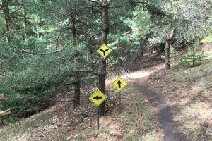 Trail markers during the Fork in the Road race.